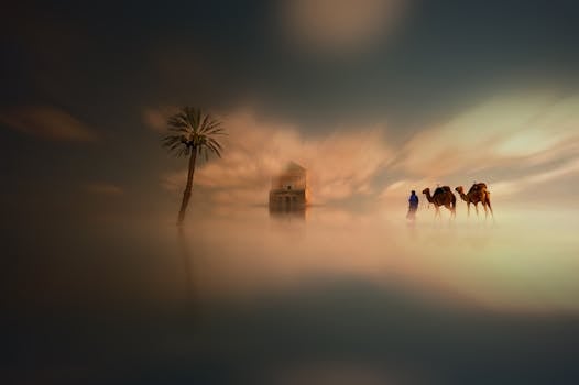 A surreal desert landscape showcasing camels, a palm tree, and a lone figure in Morocco's misty sands.